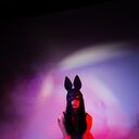 ���������� ������, ���� ������� ������, 23 ����, ������������ ��� ������, ����� � ���������