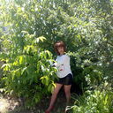 ���������� �����-���������, ���� ������� �������, 50 ���, ������������ ��� ������, ����� � ���������, c�������� ���������, ���������