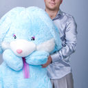 ���������� ����, ���� ������� Event, 41 ���, ������������ 