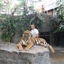  ,   , 39 ,   ,   , c 