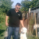 ���������� ������, ���� ������� �������, 41 ���, ������������ ��� ������, ����� � ���������, c�������� ���������