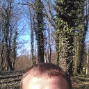  Wronki,   , 41 ,   ,   , c 