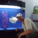 ,   , 55 ,   