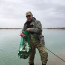 ���������� ������, ���� ������� ����, 54 ����, ������������ ��� ������, ����� � ���������