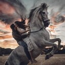 ���������� ������, ���� ������� �������, 44 ����, ������������ ��� ������, ����� � ���������