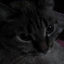 ���������� ������������, ���� ������� ������, 52 ����, ������������ ��� ������