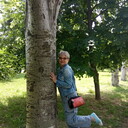 ���������� ������-��-����, ���� ������� �����, 55 ���, ������������ ��� ������, ����� � ���������