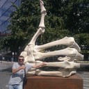   ,   , 44 ,  