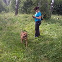 ���������� ������, ���� ������� �����, 46 ���, ������������ 