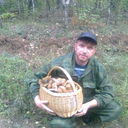   ,   , 51 ,  