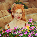 ���������� ���������, ���� ������� ����, 48 ���, ������������ ��� ������, ����� � ���������, c�������� ���������