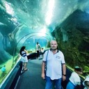  ,   , 54 ,   ,   