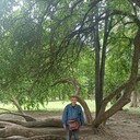  ,   , 58 ,   ,   , c 