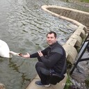 ���������� �������, ���� ������� ���������, 38 ���, ������������ ��� ������, ����� � ���������