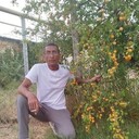 ���������� �������, ���� ������� ����������, 59 ���, ������������ ��� ����� � ���������, c�������� ���������