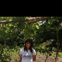 ���������� ���������, ���� ������� ���, 38 ���, ������������ ��� ����� � ���������, ���������