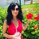 ���������� �����������, ���� ������� ��������, 44 ����, ������������ ��� ����� � ���������, c�������� ���������