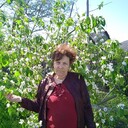  -,   , 78 ,   ,   