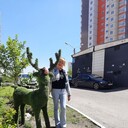 ���������� �����������, ���� ������� �����, 58 ���, ������������ ��� ������, ����� � ���������, c�������� ���������