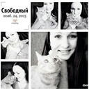 ���������� ����, ���� ������� ��������, 28 ���, ������������ ��� ����� � ���������, c�������� ���������