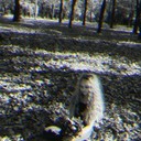 ���������� ������, ���� ������� �����, 25 ���, ������������ ��� ������, ����� � ���������, c�������� ���������