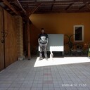 ���������� ��������, ���� ������� ����, 29 ���, ������������ ��� ����� � ���������, c�������� ���������