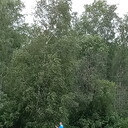 ���������� �����-���������, ���� ������� ��������, 60 ���, ������������ ��� ������, ����� � ���������, c�������� ���������