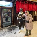 ���������� �����������, ���� ������� �����, 56 ���, ������������ ��� ������, ���������