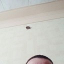 ���������� �������, ���� ������� �������, 37 ���, ������������ ��� ������