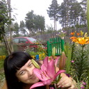  -,   , 49 ,   ,   , c 