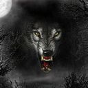  ,   ALEQS, 28 ,   ,   , c 