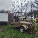 ���������� ���������, ���� ������� ��������, 36 ���, ������������ ��� ������, ����� � ���������