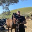 ���������� ����, ���� ������� Emil, 31 ���, ������������ ��� ������, ����� � ���������