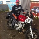 ���������� ����, ���� ������� �������, 46 ���, ������������ ��� c�������� ���������