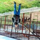 ���������� �����������, ���� ������� ������, 31 ���, ������������ ��� ������, ����� � ���������, c�������� ���������, ���������