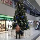 ���������� ������, ���� ������� ���������, 37 ���, ������������ ��� ������, ����� � ���������