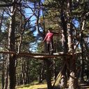 ���������� ���������, ���� ����� �����, 20 ���, ������������ ��� ������, ����� � ���������