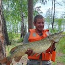 ���������� ���������, ���� ������� �������, 45 ���, ������������ ��� ������, ����� � ���������