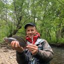 ���������� ���������, ���� ������� �������, 39 ���, ������������ ��� c�������� ���������