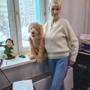 ���������� ���������, ���� ������� �������, 57 ���, ������������ ��� ������, ����� � ���������