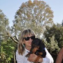  Ardea,   , 56 ,     , c 