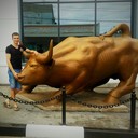 ���������� �����, ���� ������� ������, 36 ���, ������������ ��� ������, ����� � ���������, c�������� ���������