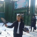 ���������� �����������, ���� ������� �������, 36 ���, ������������ ��� ������, ����� � ���������, c�������� ���������, ���������