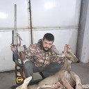 ���������� ������, ���� ������� ������, 38 ���, ������������ ��� ������, ����� � ���������, c�������� ���������