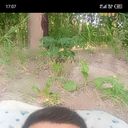  ,   Afzal, 30 ,   ,   