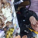 ���������� ������, ���� ������� ������, 31 ���, ������������ ��� ������, ����� � ���������, c�������� ���������, ���������