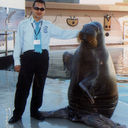  ,   Ahmet1981, 43 ,   ,   , c 