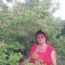  ,   , 58 ,   ,   , c 