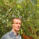 ���������� ������, ���� ������� ��������, 42 ����, ������������ ��� ������, ����� � ���������