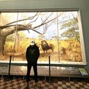 ���������� �����-���������, ���� ������� ���, 27 ���, ������������ ��� ������